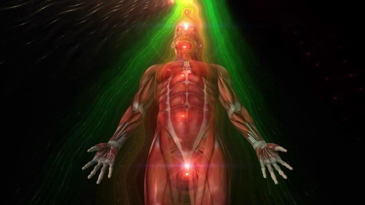 Мафлоки лярвы энергетические. Лярвы энергетические паразиты. Подселенец в теле. Подселенец в теле. Подселенец в теле.