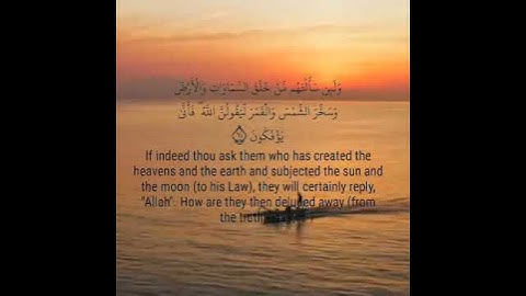 ماتيسر من سورة العنكبوت بصوت الشيخ هيثم الدخين خشوع وتدبر لا يوصف، @ahmadamer25214