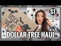 DOLLAR TREE HAUL | THEY ARE SELLING WHAT FOR $1.00?!?! | PLAID HALLOWEEN?! I CAN’T DEAL.