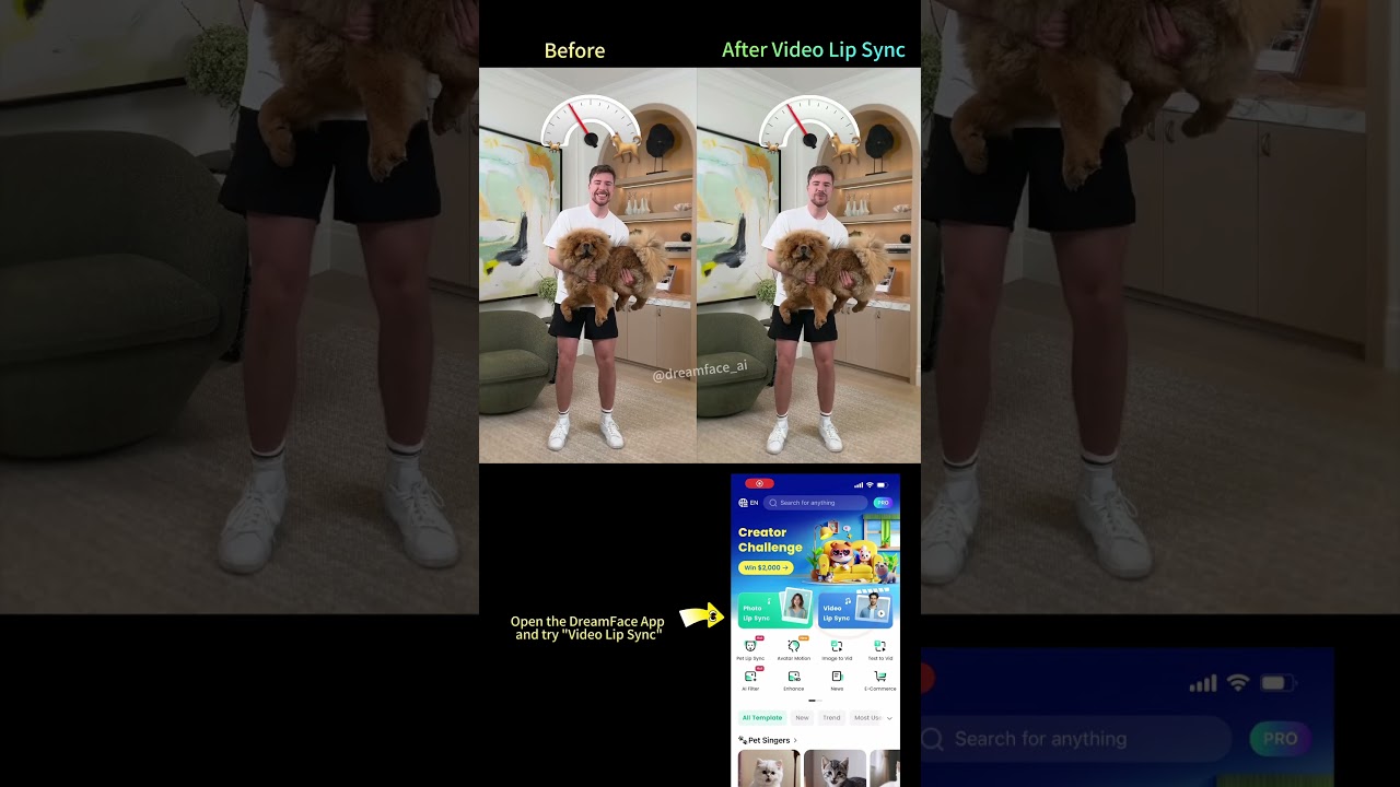 When Mr Beast meets DreamFace lip sync 