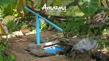 Creative Best Chicken Trap