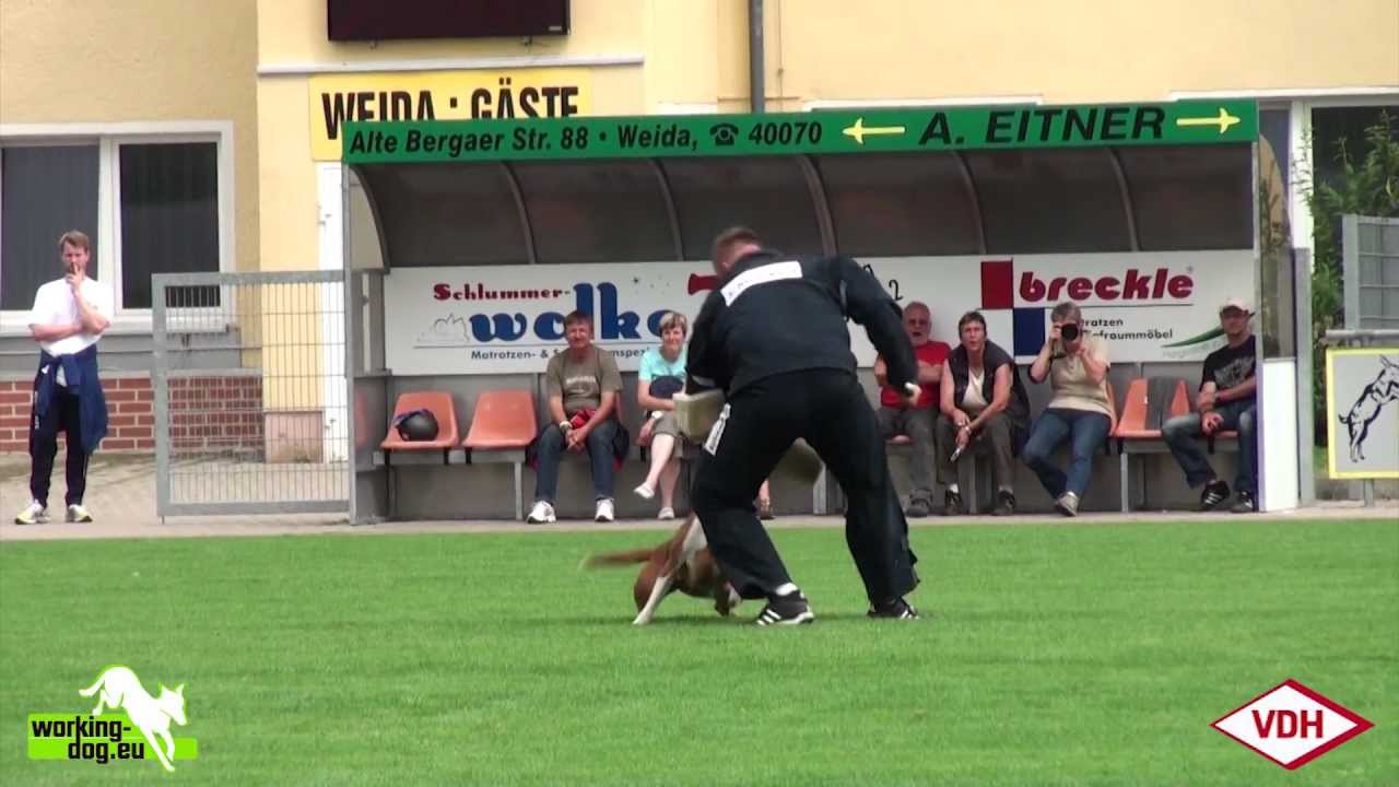 official secrets VDH DM IPO 2012