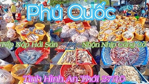 Phú Quốc Toàn Cảnh An Thới | Nhộn Nhịp, Tấp Nập Hải Sản Ở Bến Cảng