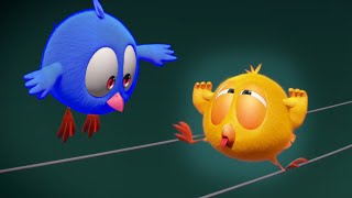 Where's Chicky? Funny Chicky 2022 | BLUE CHICKY | Cartoon in English for Kids | New episodes