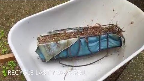 Water  less  Window Box