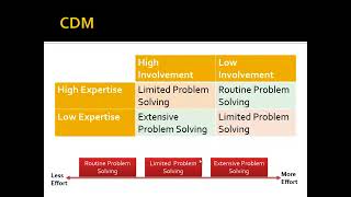 CDM Effort and Decision Making