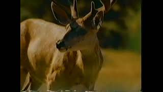 Telus Mobility commercial from 1997