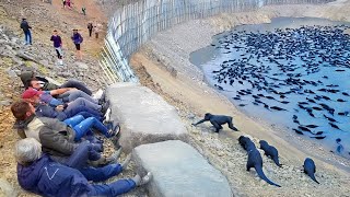 What happens to animals that were raised for consumption, but are no longer eaten?