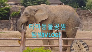 타마동물공원 방문기(Tama Zoological Park Tour) [한글자막 CC]