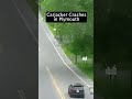Carjacker Fishtails & Finds Out