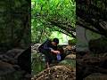 My Cinematic shoot vlog #villagevlog #dailyvlog #villagelife #viralvideo
