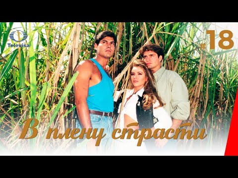 В ПЛЕНУ СТРАСТИ / Cañaveral de pasiones (18 серия) (1997) сериал