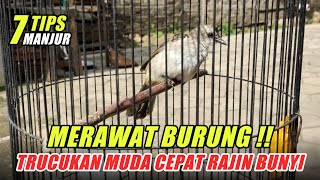 MANJUR!! 7 TIPS MERAWAT TRUCUKAN MUDA AGAR RAJIN BUNYI