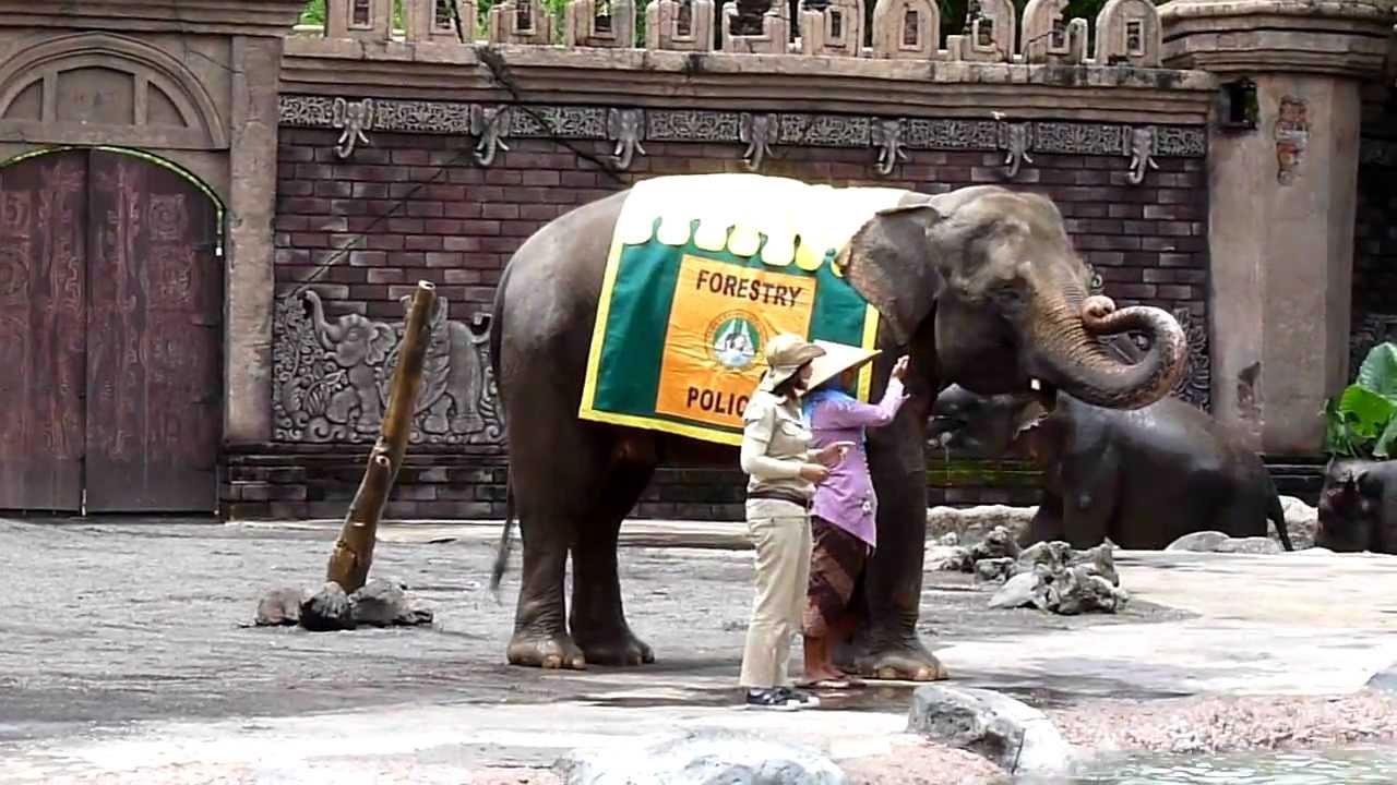 Bali Safari & Marine Park - Elephant show - YouTube