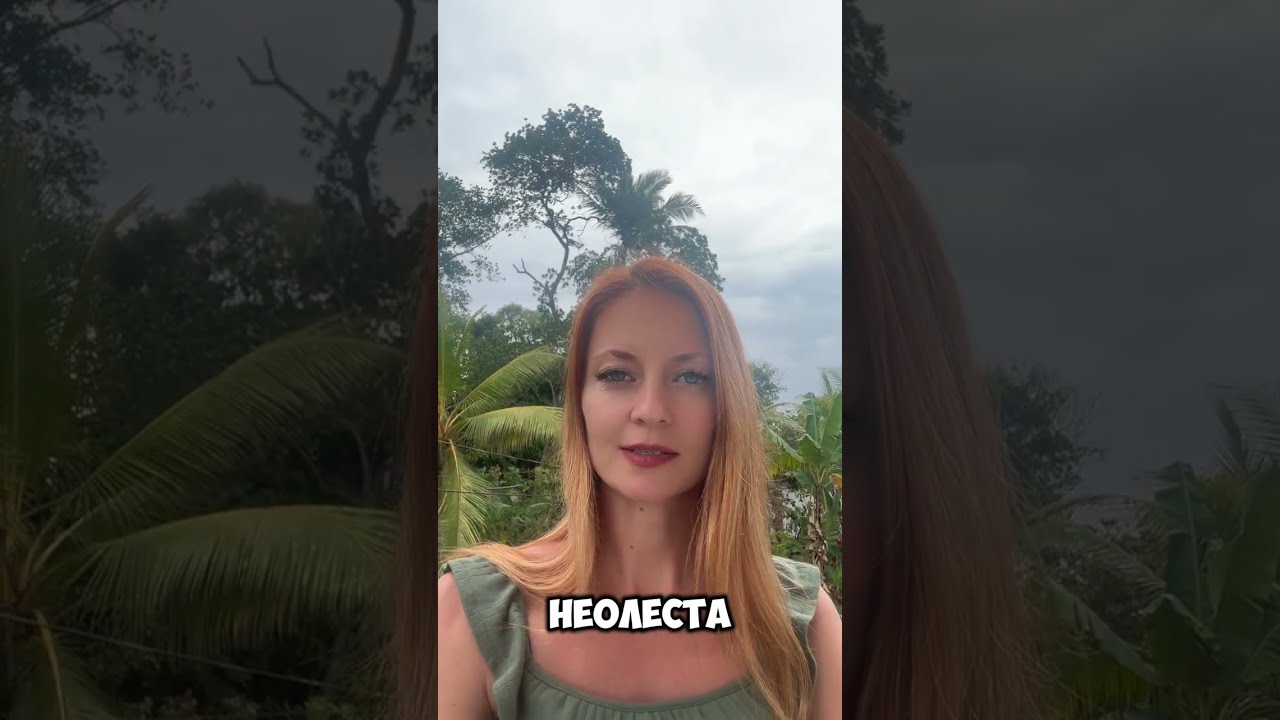 Про параллельные версии себя и точку выбора