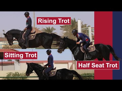 فيديو: كيف تتحقق من أي ساق أعرج الحصان؟