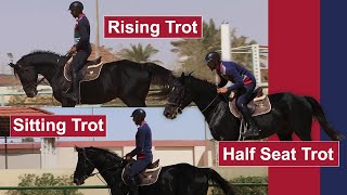 Learn more about the trot (detailed episode) - teaching the basics of horse riding
