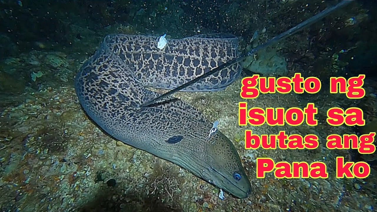 ep574 ahas dagat gusto ng isuot sa butas ang Pana ko