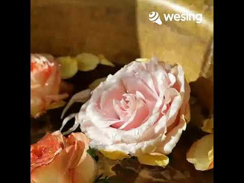 Über sieben Brücken musst du geh