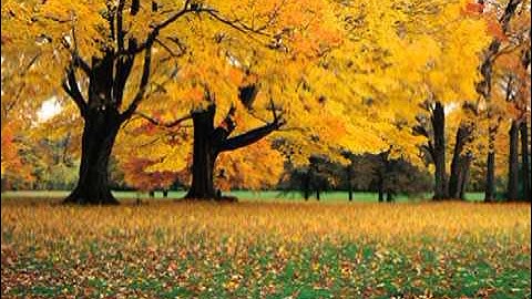 Divine Principle - Chapter Two - The Fall of Man