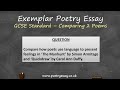 Comparison: Sample Essay, Two Poems - How to write a comparative essay on two poems