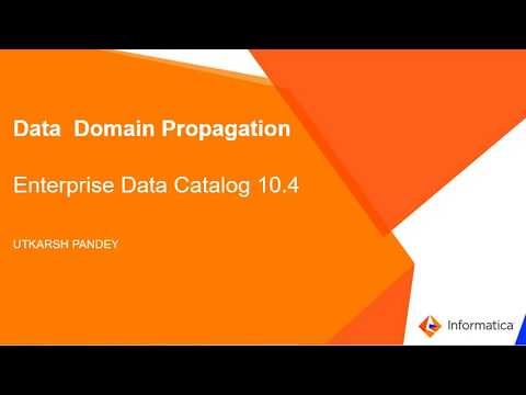 Introduction to Data Domain Propagation in EDC