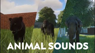 LEARN ANIMALS NAMES AND SOUNDS | BLACK PANTHER ELEPHANT GORILLA LION HIPPO GIRAFFE GRIZZLY BEAR screenshot 2