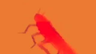 Dancing Roach Earrape