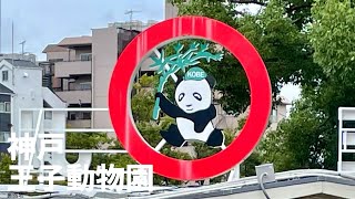 【歩き撮り】神戸市立王子動物園【高画質】【KOBE】【曇り】