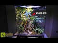 Building a Jungle Terrarium for My Weaver Ants