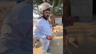 Aaj se adrak ki kudhai chalu hone wali thj #lovechaudharyvlog #minivlog #auraiyastar #auraiya