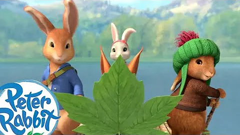 Peter Rabbit- Camping by the Lake | cartoons for the Kids