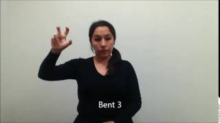 Handshape Bent 3 Captioned
