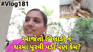 Aaj To Billi Ko Ghar Me Purni Padi Lekin Kyu?|બિલાડી ને ઘરમાં પૂરવી પડી પણ કેમ?|Nisha's family vlog screenshot 5