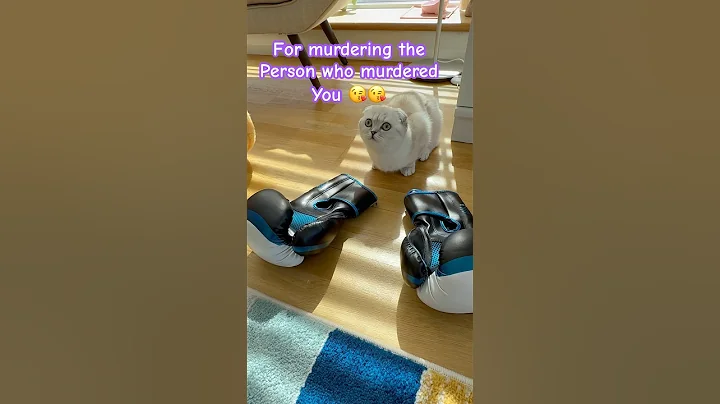 Watch the video about Send this to your best friend ❤️ #kikicutekitty #bestfriend #relatable #scottishfold #revenge #fyp