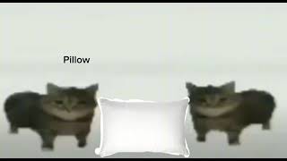 This Is A Pillow