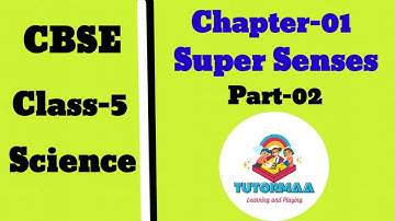 cbse class5 chapter 1 part2 super senses