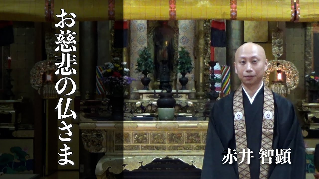 赤井智顕さんのご法話 お慈悲の仏さま Youtube 赤井智顕さんのご法話 お慈悲の仏さま Youtube