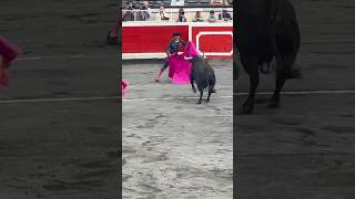 #toro #torero #bullrun #bullriding #bull #festival #spain #bullattack#ataquedetoro #toros #españa