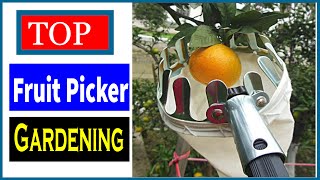 5 Best Basket Fruit Picker