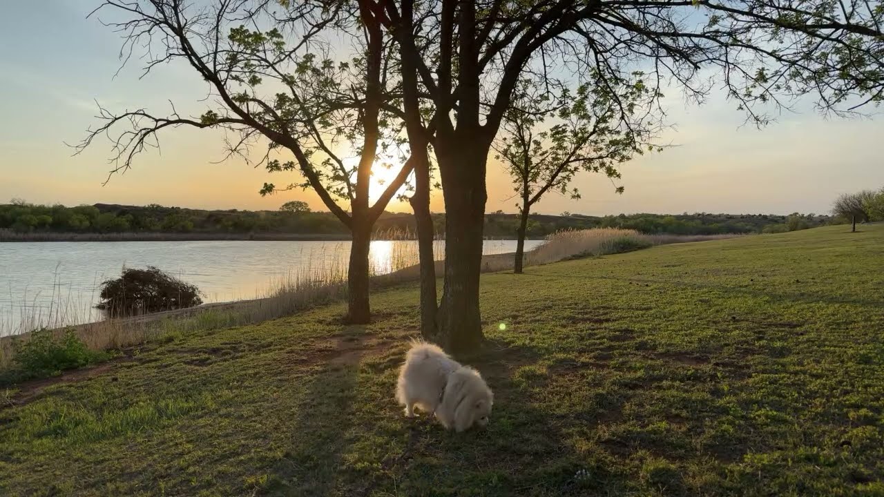 Black Kettle Campground Live YouTube