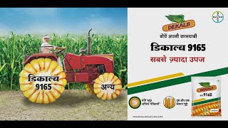 Dekalb Maize डकलब 9165 सबस जयद उपज Hindi Bayer Crop Science India