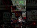 #synth #eurorack #synthesizer #modularsynth #electronicmusic #music #electronicinstrument