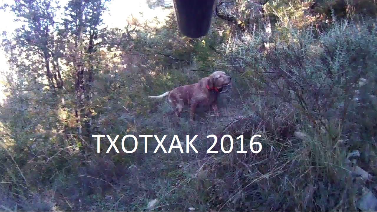 TXOTXAK 2016