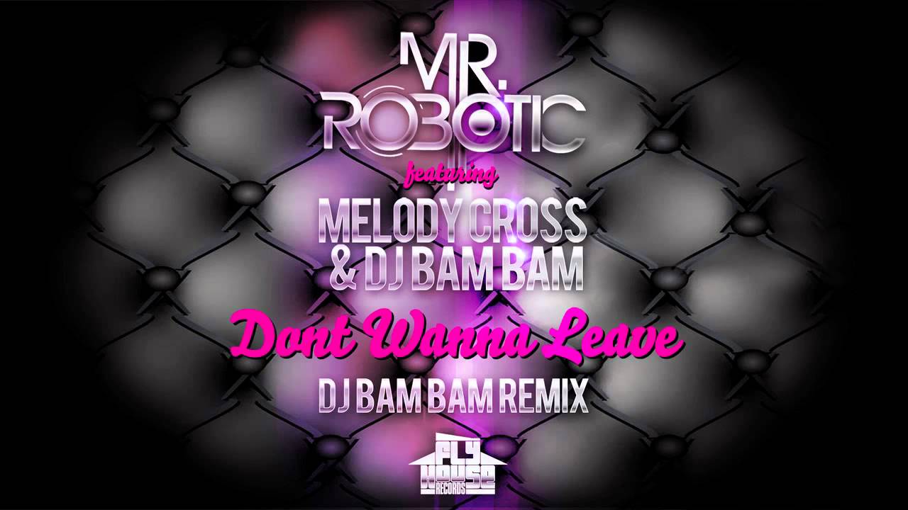 Mr.Robotic feat. Melody Cross & DJ Bam Bam - Dont Wanna Leave (DJ Bam Bam Remix) [PREVIEW]