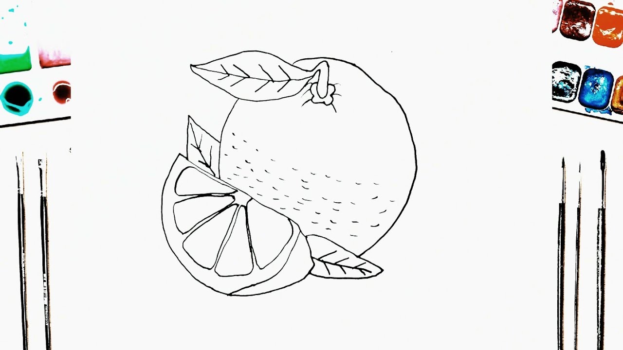 how to draw a orange step by step easy drawing - YouTube
