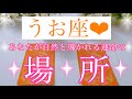 💍うお座さん✨あなたが自然と導かれる運命の場所💍【大丈夫💖あなたにぴったりのタイミングで運命の場所に導かれます🥰】🌸💖【見たときがタイミング🥰】💖無料タロット💖カードリーディング💌