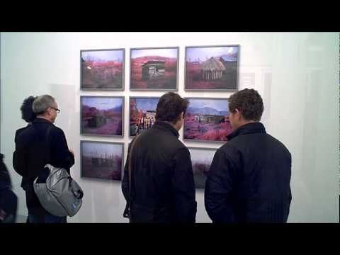 JACK SHAINMAN GALLERY - Richard Mosse: Infra