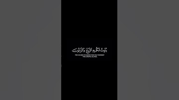 قران شاشه سوداء 🌿كرومات قران كريم 🌿بصوت القراء ياسر الدوسري 🌿