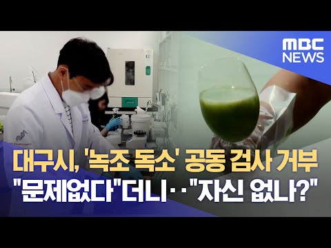 대구시, &amp;#39;<strong>녹조</strong> 독소&amp;#39; 공동 검사 거부 &amp;quot;문제없다&amp;quot;더니·· &amp;quot;자신 없나?&amp;quot; (2024.09.14/뉴스데스크/대구MBC)